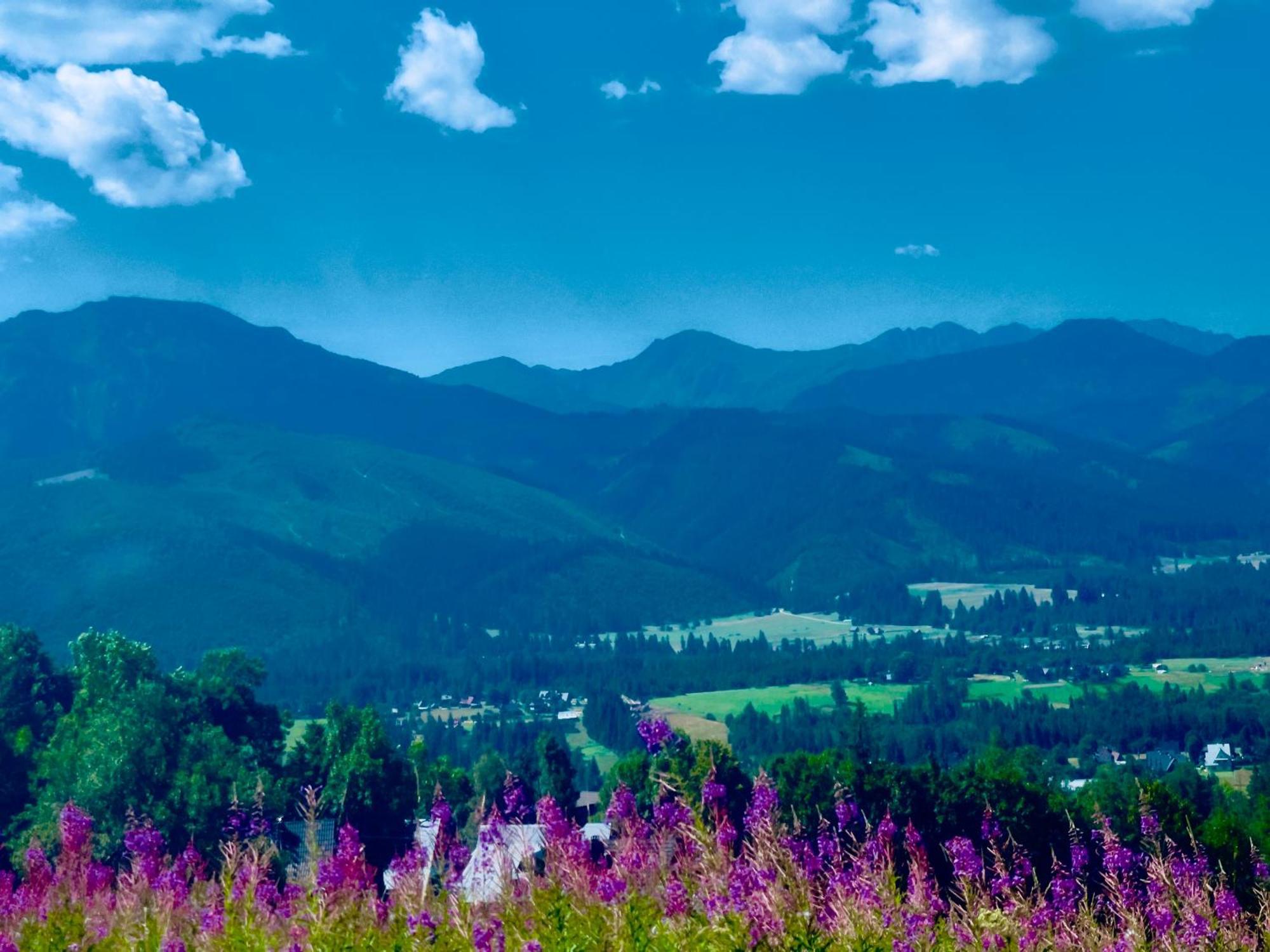 Goralska Chatka Kościelisko Esterno foto
